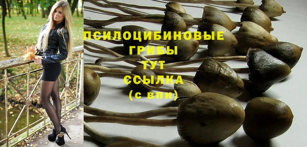 стаф Бугульма