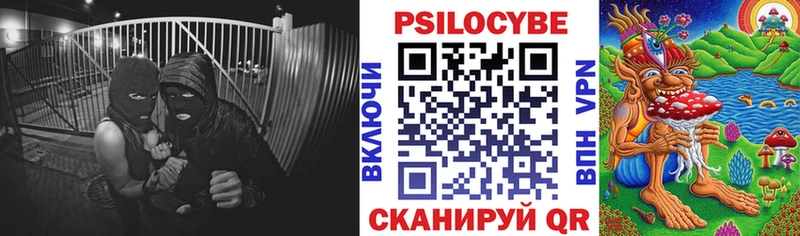 Псилоцибиновые грибы Psilocybine cubensis  сколько стоит  Сыктывкар 